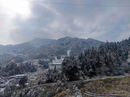 长沙刚刚下雪了！一场冬日的浪漫邂逅