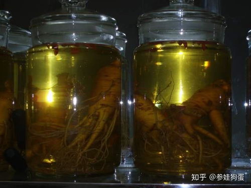 藕节药酒泡制全攻略：如何搭配白酒和药材，做好健康泡酒