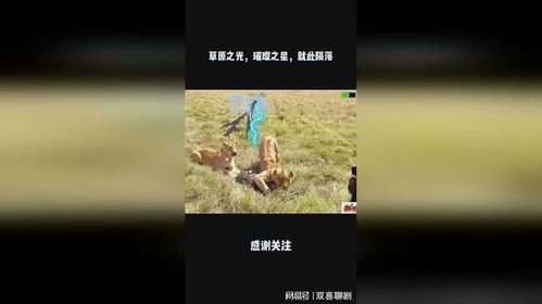 璀璨之星的陨落：他的人生转折点