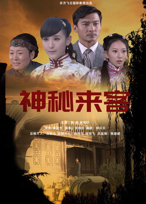 《神秘来客》：一场与未知相遇的心灵奇旅