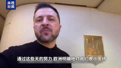 关于统一公布禁养犬大型犬名录的深入思考