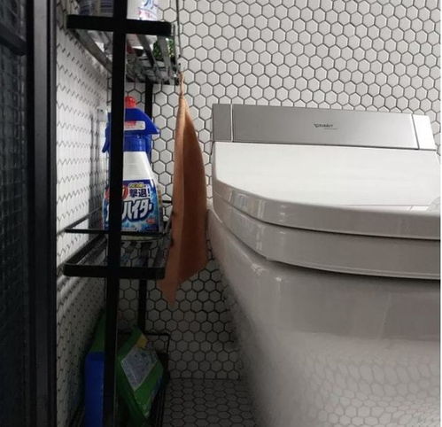 建议增加景区女卫生间坑位：从郑先生的经历看公共设施优化的重要性