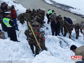 亲历西藏雪崩救援：115人被困后的惊魂时刻