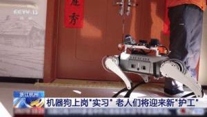 机器狗的技能值已经拉满了！未来科技就在眼前