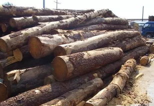 暂停进口美国原木的背后：小张的视角解读