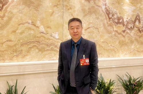 淡化重点高中标签，让教育公平与多样性并存