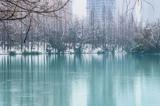 合肥下雪了！第三视角感受这座城市的冬日浪漫