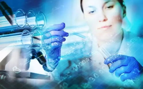 人世百态|我的红娘：一场奇妙的缘分之旅