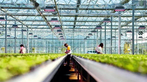 凝聚共识，汇聚力量：从我做起，共创美好未来