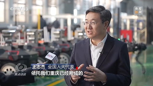 见证奇迹：2024年“5%”背后的奋斗故事