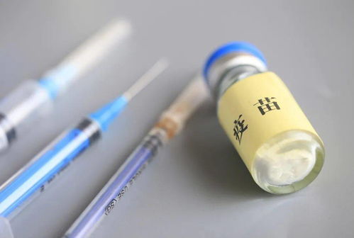 深入了解中国芬太尼类物质管控白皮书：一个普通人的视角