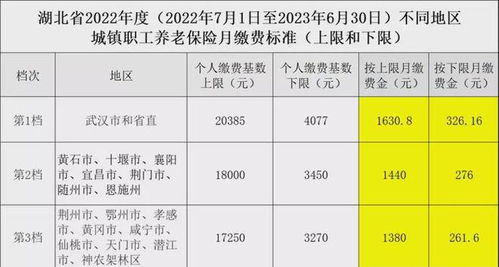 代表建议降低灵活就业者社保参保门槛：让保障更贴心