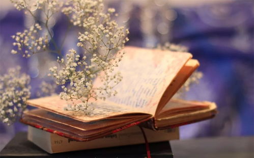 谢谢你特意为我而来！有你足矣！