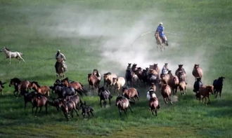 送礼那些事儿：中国人的人情世故大戏