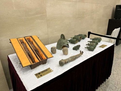 见证历史！我亲历美国返还41件中国文物艺术品的感动时刻