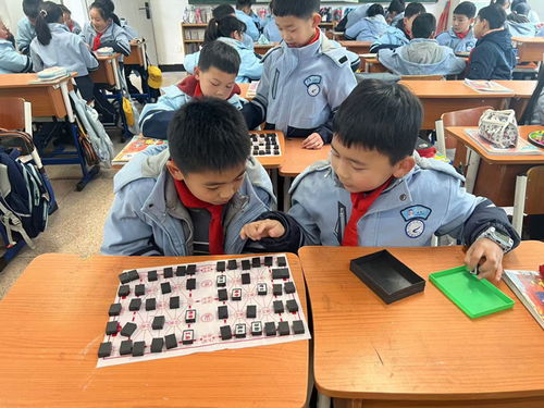 课间十五分钟计划：从我见证的教育变革说起