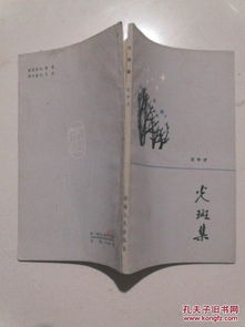 光之赋格：一个关于父爱的散文诗