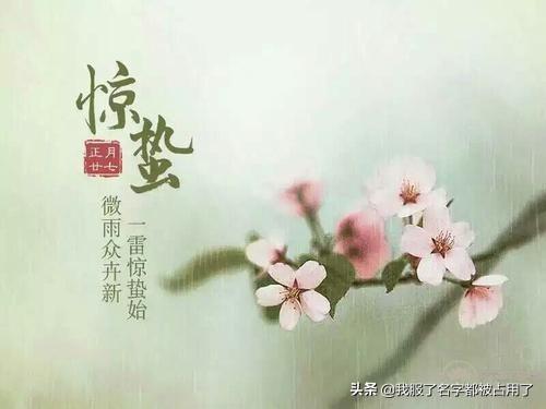 惊蛰时节，与康震蒙曼共赏诗词之美