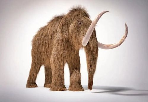 美国科学家宣布成功培育出猛犸象特征老鼠：未来生物技术的奇迹与争议