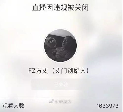 网红顾茜茜事件：日赚30万背后的真相与争议