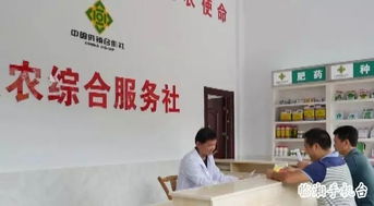 从“内卷”到高质量竞争：企业如何在政策引导下实现转型？