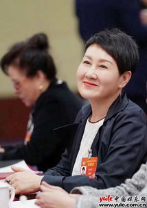 张凯丽小跑着上两会：从荧幕到提案，她的艺术人生