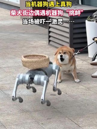 稳住楼市股市：一场关乎经济与民生的深度变革