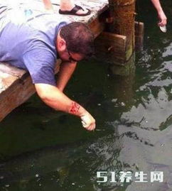 男子在出水口钓鱼，意外连连却收获满满！