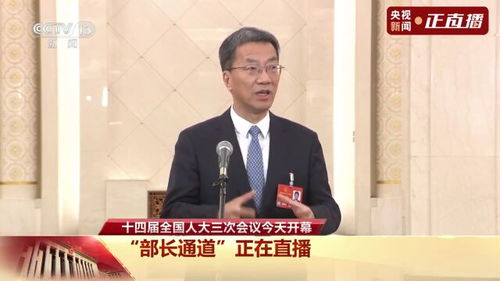 县中振兴计划：一个普通人的视角看教育改革