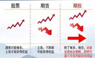 股票思维与期权思维的碰撞：从小白到高手的成长之路