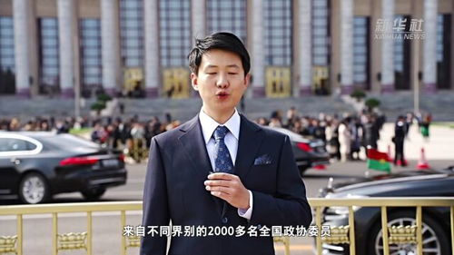 凝聚团结力量，共同奋斗的感悟之旅