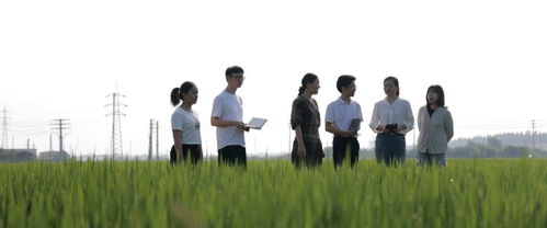 不负重托：我眼中的两会民生情怀