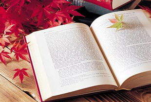 三月正是读书时：与书相伴的美好时光