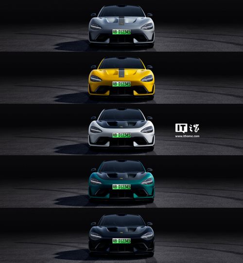 雷军对绿牌“出手”，新能源车牌设计大起底