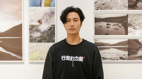 陈坤送锦旗感谢医生治愈手伤：明星背后的暖心故事