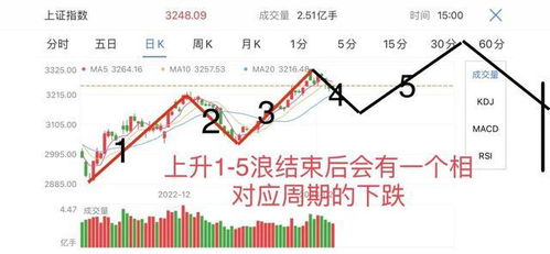 2月复盘：我的成长与蜕变之旅