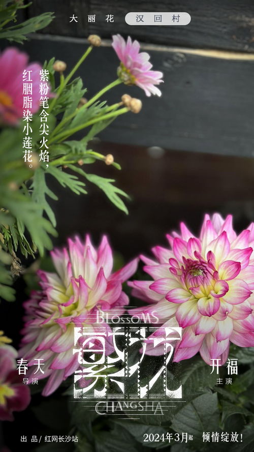 从《繁花》看配角的魅力：小人物的深度与共鸣