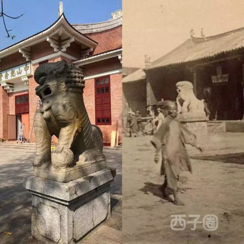 山野吏亭：在自然与人文交汇处的沉思