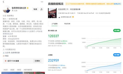 视频号爆款脚本的核心元素：从新手到高手的进阶指南