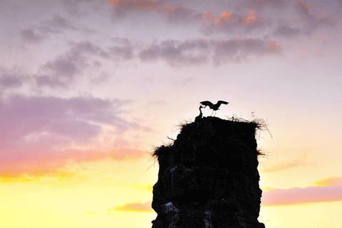 等待雪花落下：一场与冬天的浪漫约定
