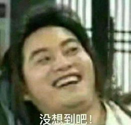 正经与不正经：一个关于自我表达的旅程