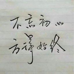 不求回报，方得始终：一个关于付出与成长的故事