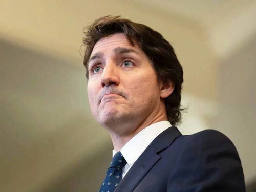 加拿大拒绝美方关税折中方案：一场经济博弈的开端