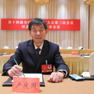 聚焦农村民生改善：人大代表卢庆国的两会心声