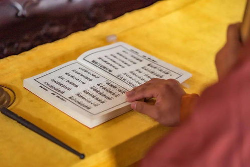 人生真正的快乐：在进步中遇见更好的自己