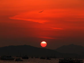 那日黄昏：一场与时光的邂逅