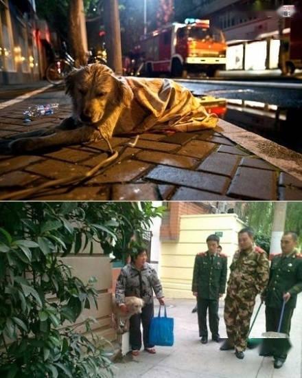 上海一只会和主人对歌的小鹦鹉火了