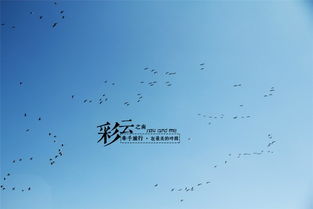 在文字中旅行：一场心灵的远足