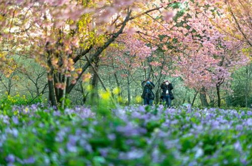 在这个春天里，他与生活的温柔邂逅