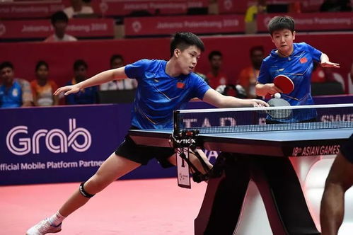 王楚钦与程靖淇的暖心互动：国乒新生代的力量传承